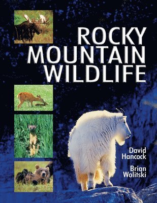 Don Blood, Tom Hall - Rocky Mountain Wildlife, Inbunden