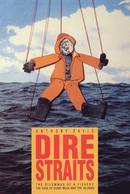 bokomslag Dire Straits