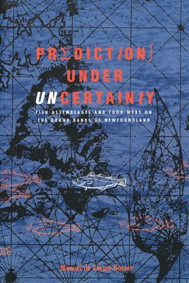 bokomslag Predictions Under Uncertainty
