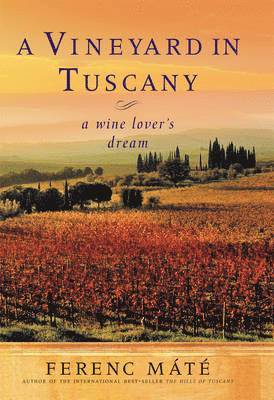 Vineyard in Tuscany