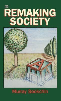 bokomslag Remaking Society
