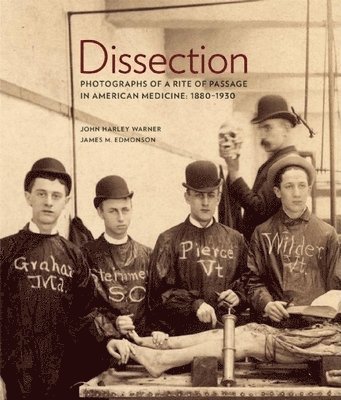 Dissection 1