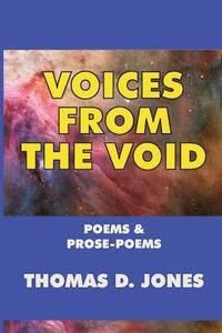 bokomslag Voices from the Void