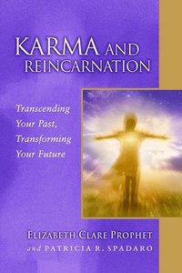 bokomslag Karma and Reincarnation