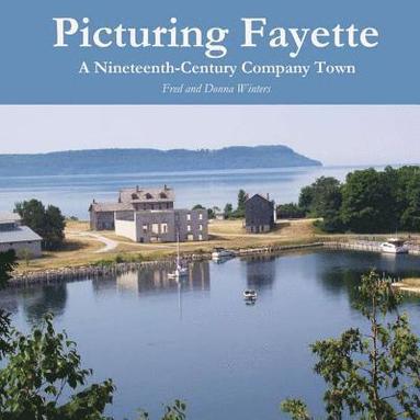 bokomslag Picturing Fayette