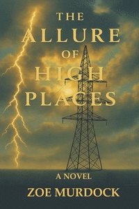 bokomslag Allure of High Places