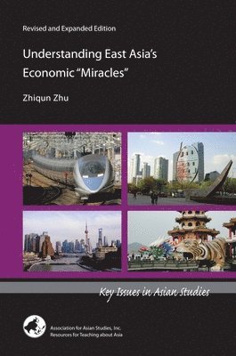 bokomslag Understanding East Asias Economic &quot;Miracles&quot;