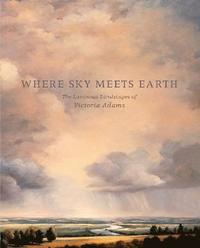 bokomslag Where Sky Meets Earth