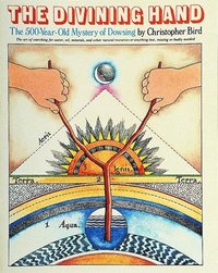 bokomslag Divining Hand