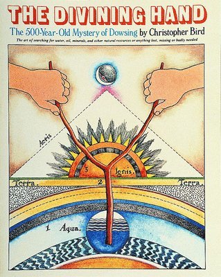 bokomslag Divining Hand