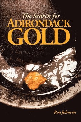 bokomslag Search For Adirondack Gold