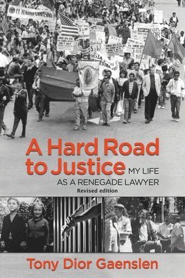 bokomslag Hard Road to Justice