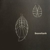 bokomslag Beaverbank