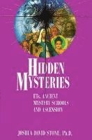 bokomslag Hidden Mysteries