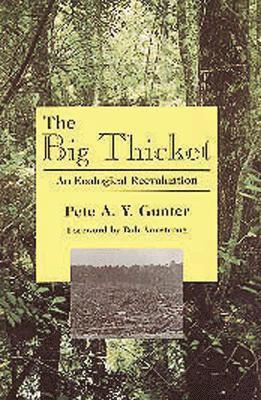 Big Thicket 1