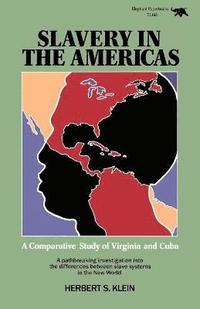 bokomslag Slavery in the Americas