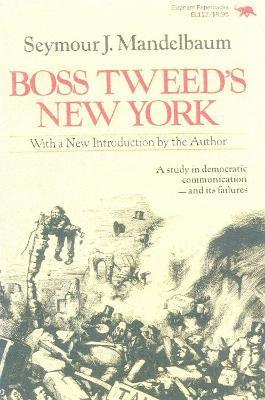 Seymour J. Mendelbaum - Boss Tweed's New York, Häftad