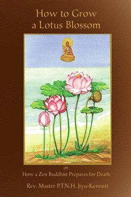 How to Grow a Lotus Blossom 1