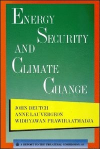 bokomslag Energy Security and Climate Change
