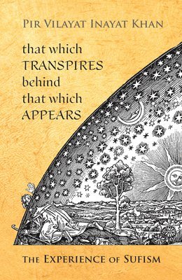 That Which Transpires Behind That Which Appears 1