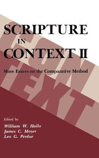 bokomslag Scripture in Context II