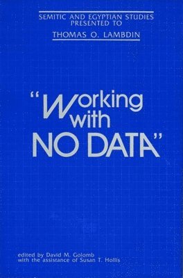 bokomslag "Working With No Data"
