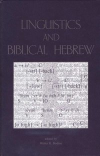 bokomslag Linguistics and Biblical Hebrew