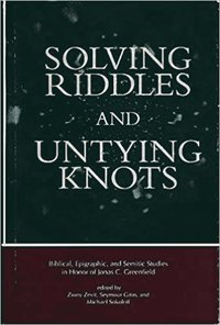 bokomslag Solving Riddles and Untying Knots