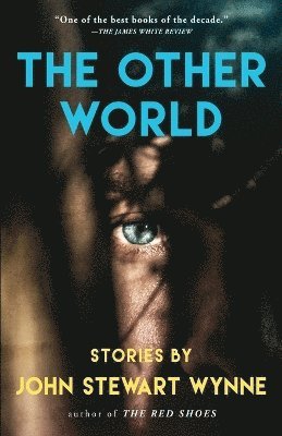 bokomslag Other World