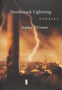 bokomslag Smokestack Lightening Stories