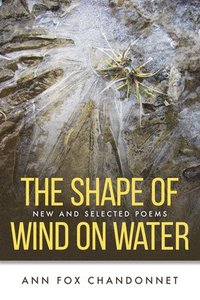 bokomslag The Shape of Wind on Water