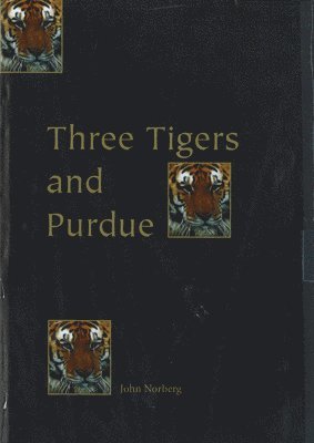 bokomslag Three Tigers & Purdue