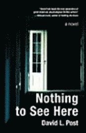 David L. Post - Nothing to See Here, Häftad