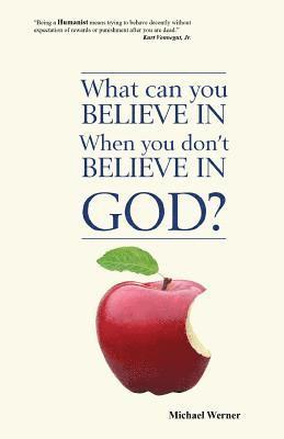 Michael Werner - What Can You Believe If You Don't Believe in God?, Häftad