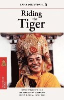 bokomslag Riding the Tiger: Twenty Years on the Road: The Risks and Joys of Bringing Tibetan Buddhism to the West