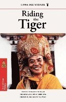 Lama Ole Nydahl, Carol A. Aronoff - Riding the Tiger: Twenty Years on the Road: The Risks and Joys of Bringing Tibetan Buddhism to the West, Häftad