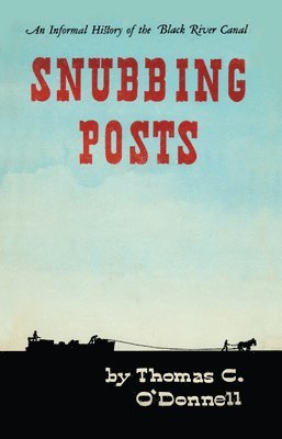 bokomslag Snubbing Posts