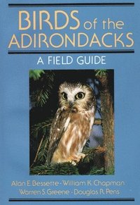 bokomslag Birds Of The Adirondacks