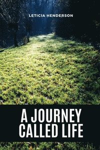 bokomslag A Journey Called Life