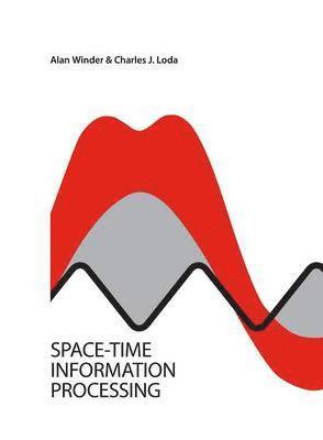 bokomslag Space-Time Information Processing