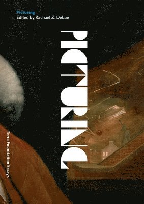 Matthew Hunter, Robin Kelsey, Rachael Z. DeLue, Rachael Z. Delue - Picturing, Häftad