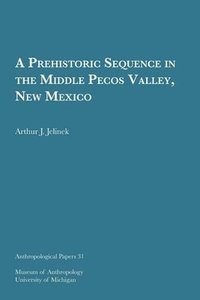 bokomslag Prehistoric Sequence In The Middle Pecos Valley, New Mexico Volume 31