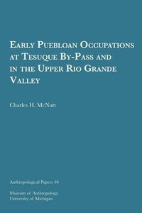 bokomslag Early Puebloan Occupations At Tesuque By-Pass And In The Upper Rio Grande Valley Volume 40