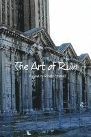 bokomslag The Art of Ruin