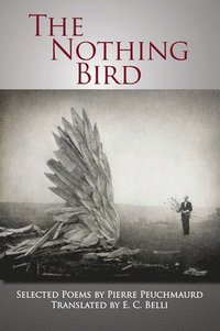 bokomslag Nothing Bird