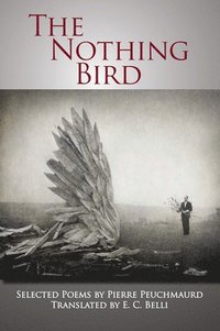 bokomslag The Nothing Bird