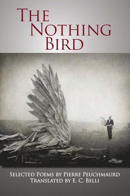 bokomslag Nothing Bird