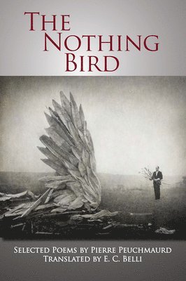The Nothing Bird 1