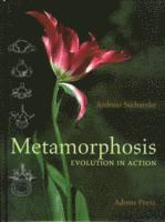 Andreas Suchantke - Metamorphosis, Inbunden