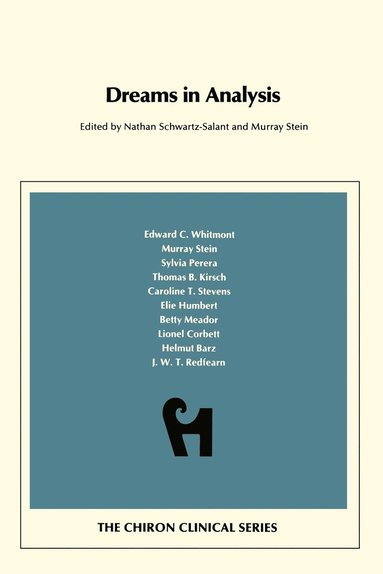 Murray Stein, Nathan Schwartz-Salant, Nathan Schwartz-Salant, Murray Stein - Dreams in Analysis, Häftad